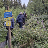 Bildschirmfoto 2025 06 24 Um 17.15.34