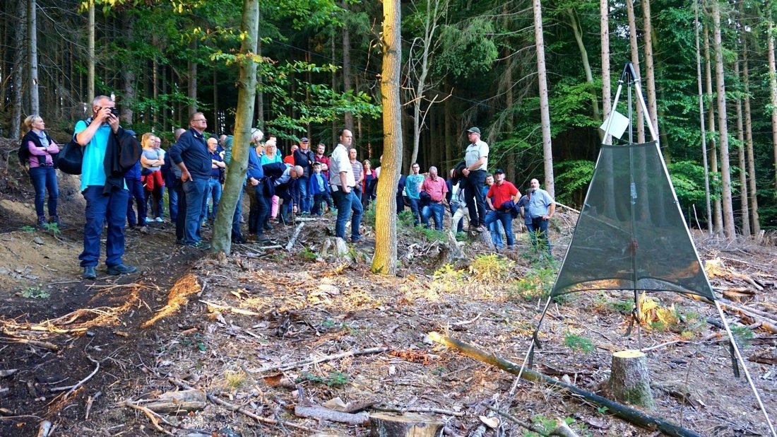 Eine große Gruppe schloss sich der Informationsveranstaltung zum Zustand des Hagener Waldes an. Förster Frank Berstermann sprach über Borkenkäfer und deren Fangfallen (im Bild), über Wettextreme und Pilze und wie sich all’ das auf unsere Wälder auswirkt. Foto: Carolin Hlawatsch