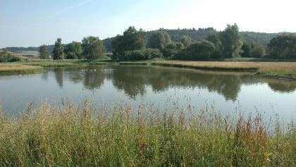 Foto: bodensee-linzgau.de