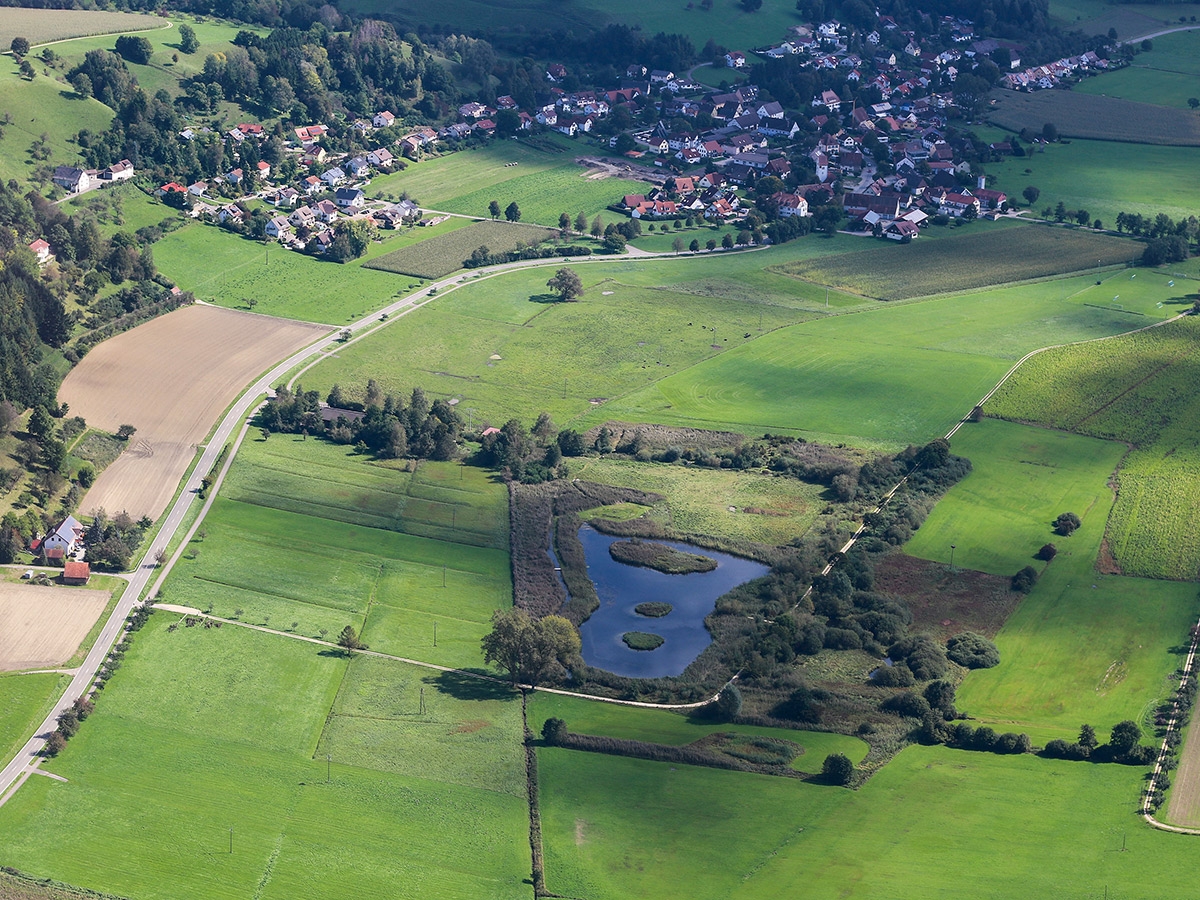 Foto: Heinz-Sielmann-Weiher / Quelle: Aula-Verlag: Der Falke